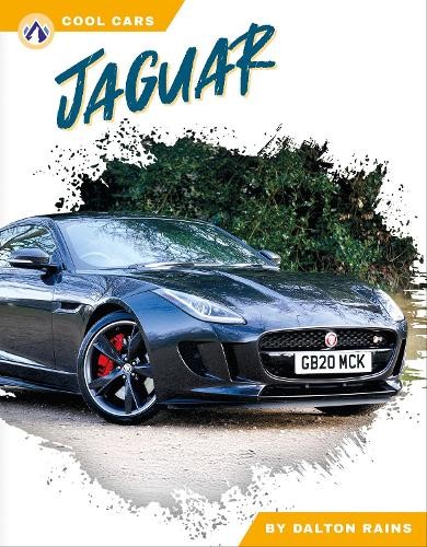 Jaguar dalton rains - jaguar,